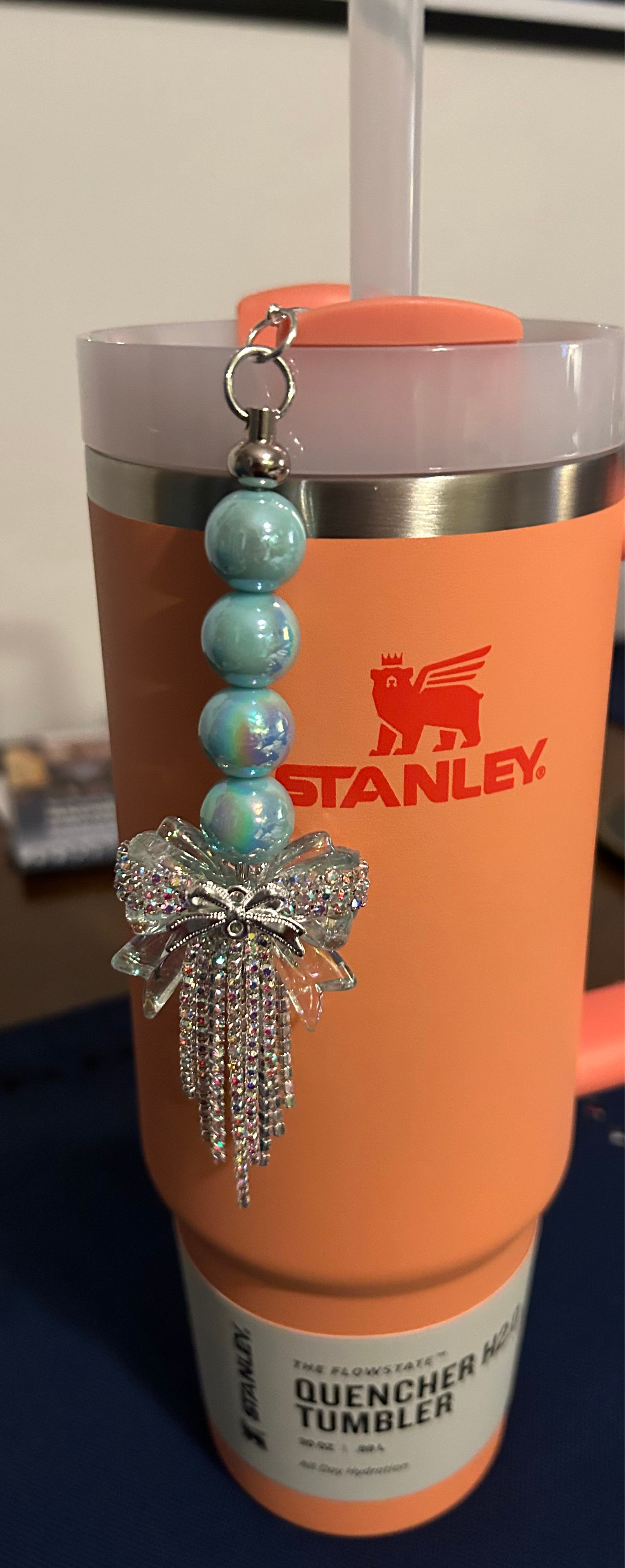 Fancy Blue Bow Straw Charm